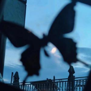 国内揄拍高清国内精品对白
