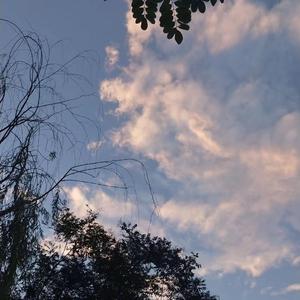 国内揄拍高清国内精品对白
